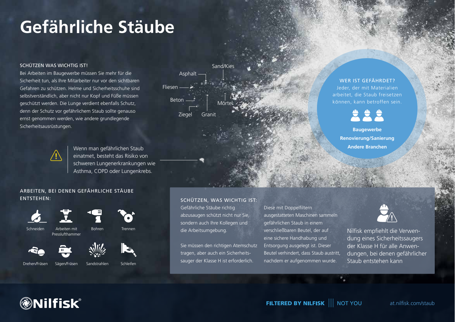 DE Hazardous Dust One Pagers A4 Infographic