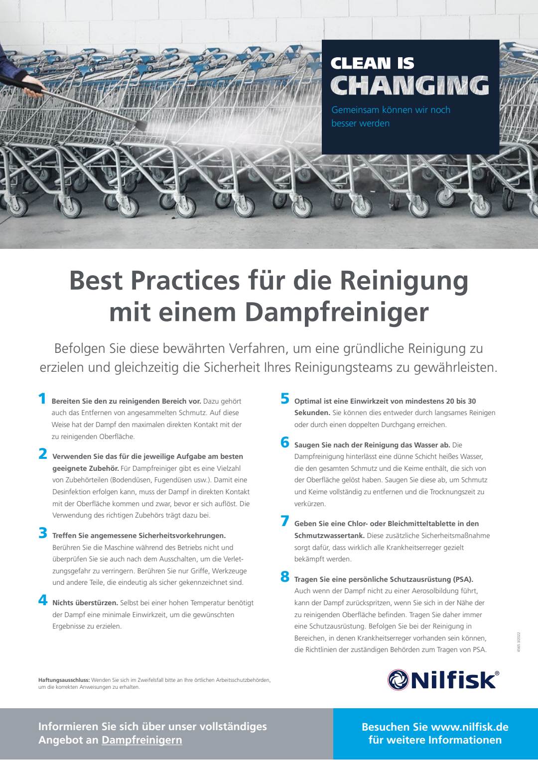 DE 2022 Steam Cleaning Tips Tricks Brochure
