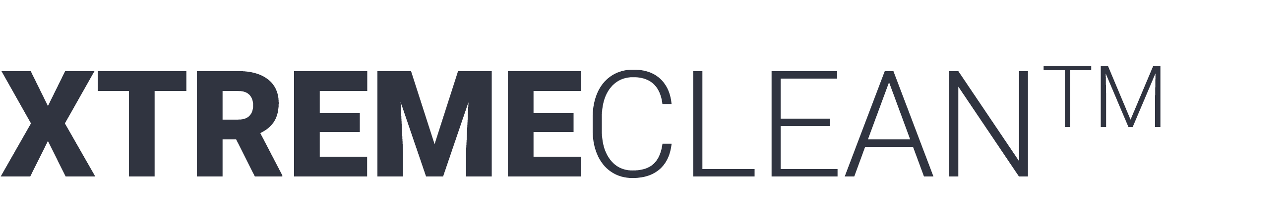 Xtremeclean Icon
